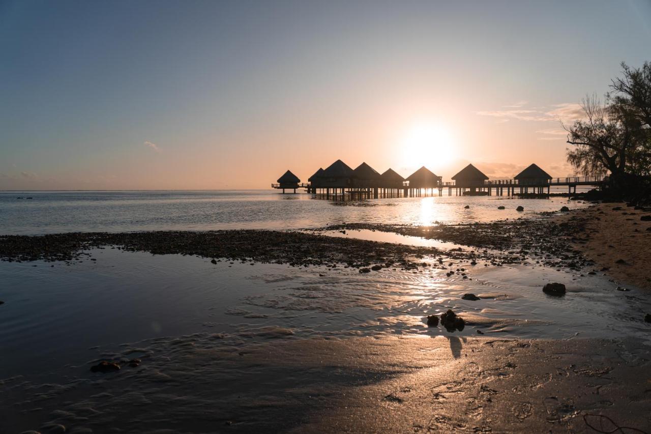 Le Charme Polynesien Proximite Plage Et Commerces Пунауиа Екстериор снимка